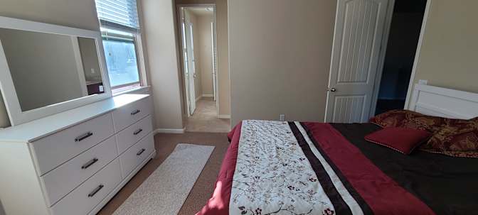 Mike and ZMG's room