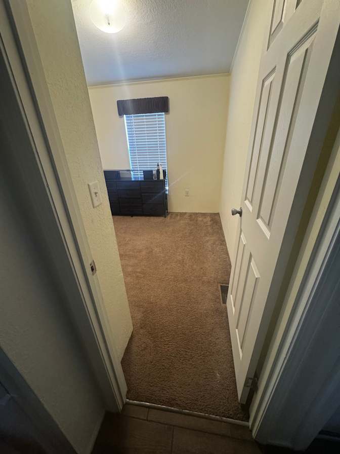 Carli's room