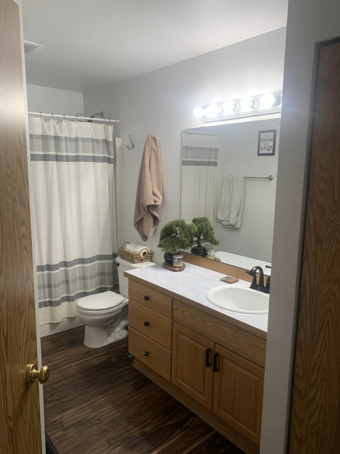 Shane's room