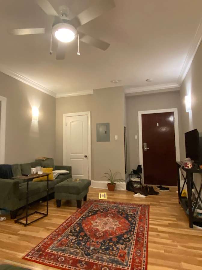 Mehrnoosh's room