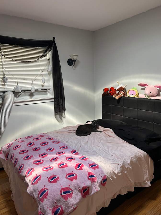 Lexi's room