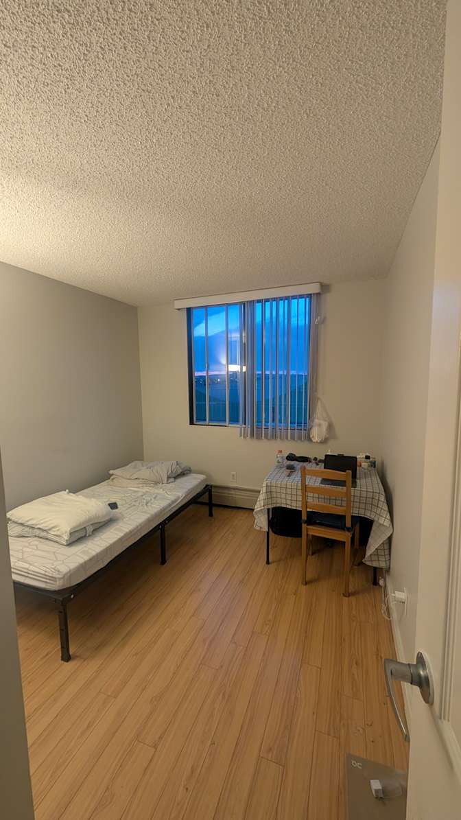 Arash Kardanpour's room