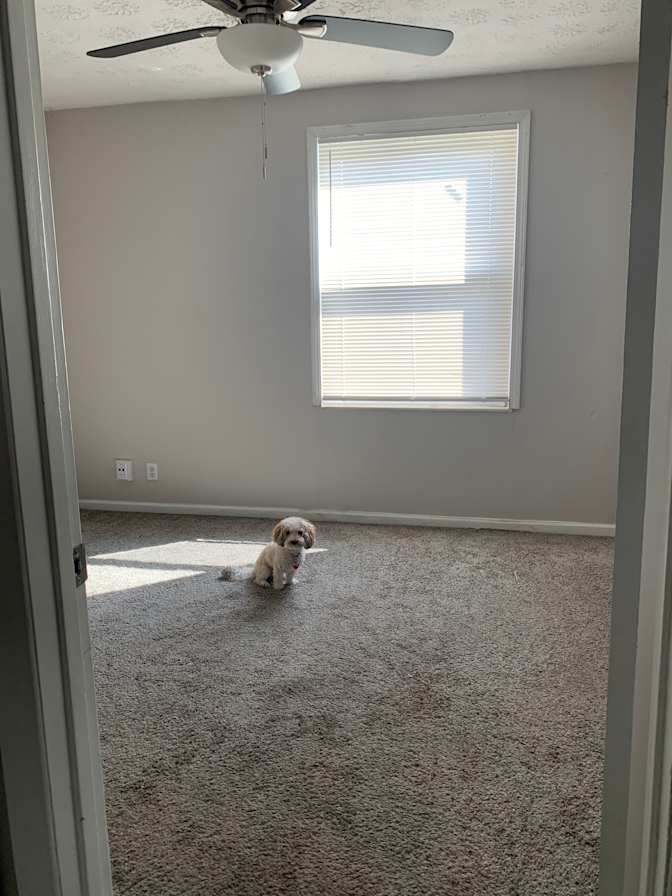Jacqueline's room