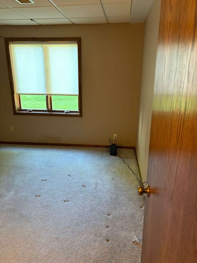 Andrea's room