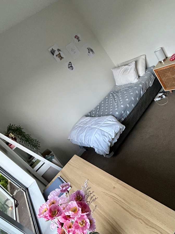 Sol Amaya's room