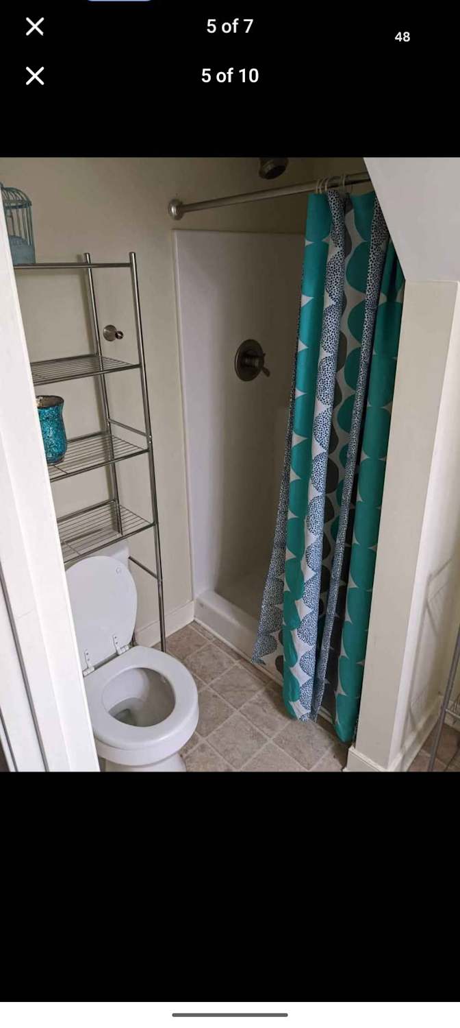 Jacob's room