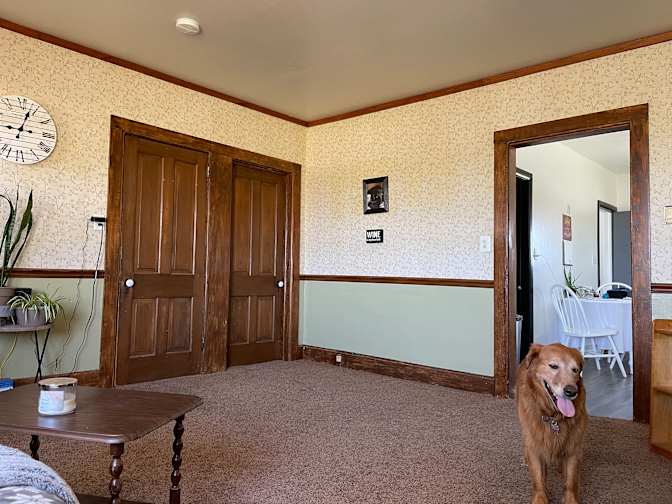 Sue's room