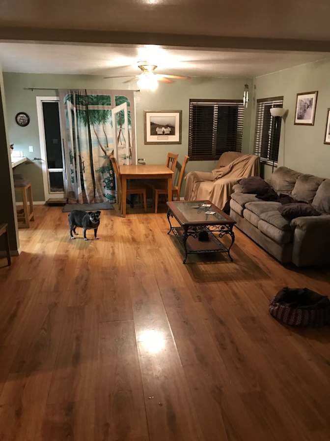 Scott's room