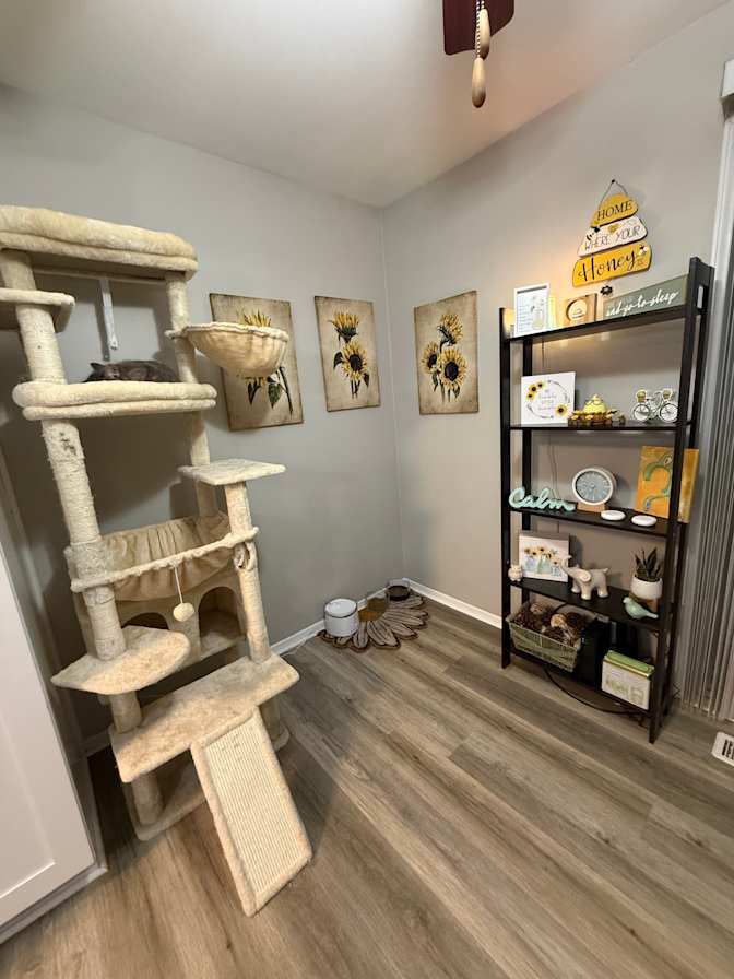 Pepper Dental Assistant's room