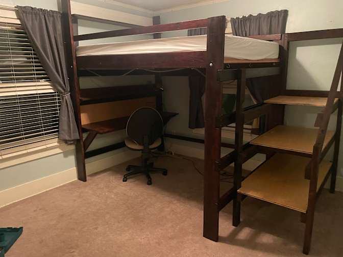 Cat's room