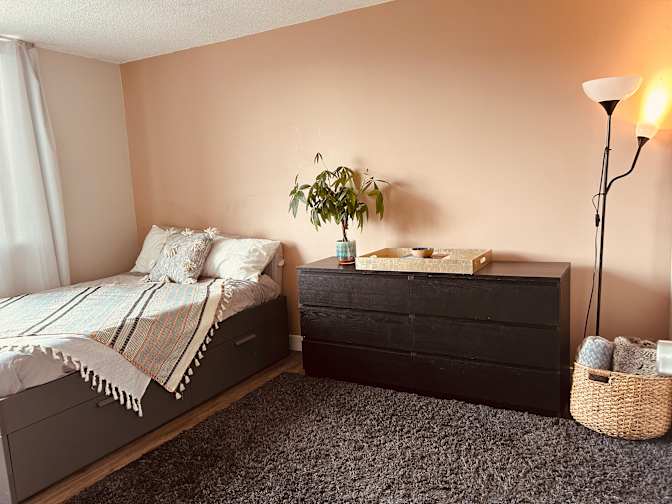 Jelli's room