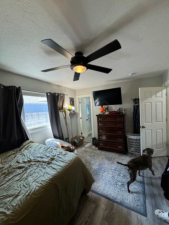 Yangyang's room