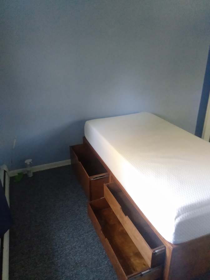 Wolf's room