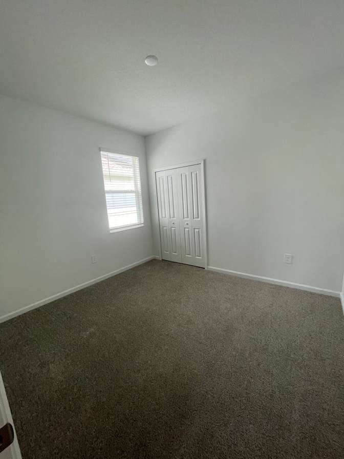 shawna's room