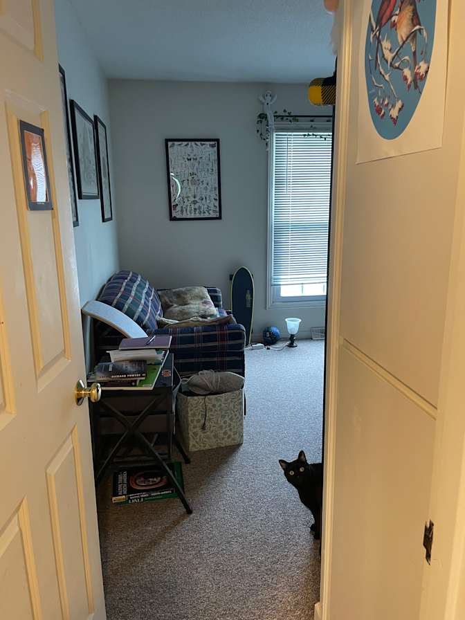 Adelyn's room
