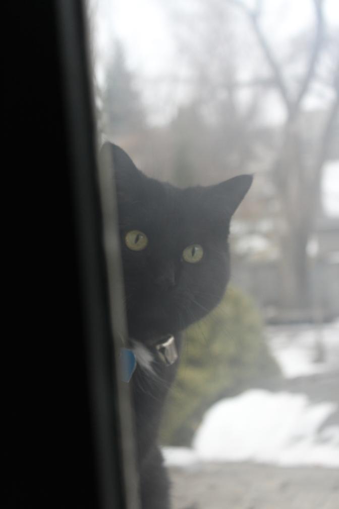 Catherine Caufield's room