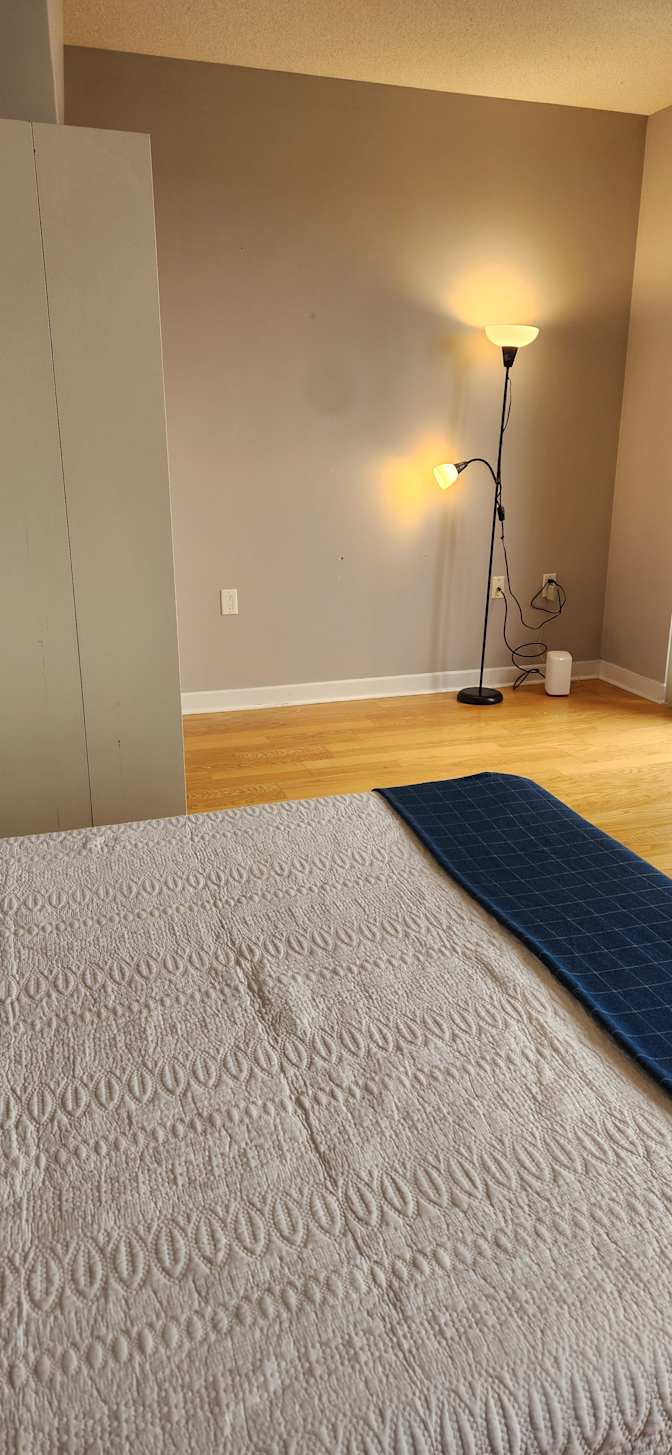 Ellie's room