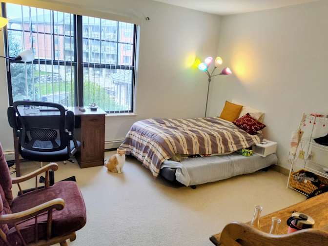 LouAnn's room