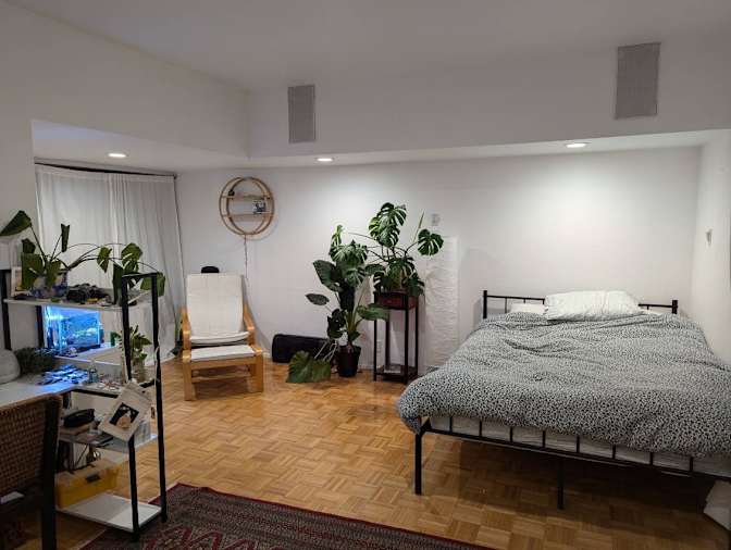 Ellie's room