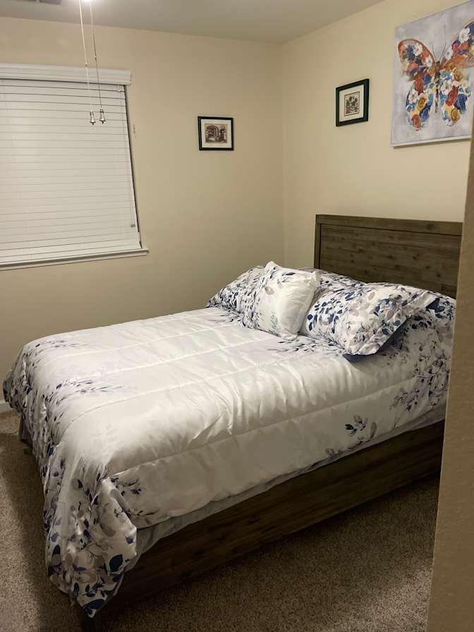 Olga's room
