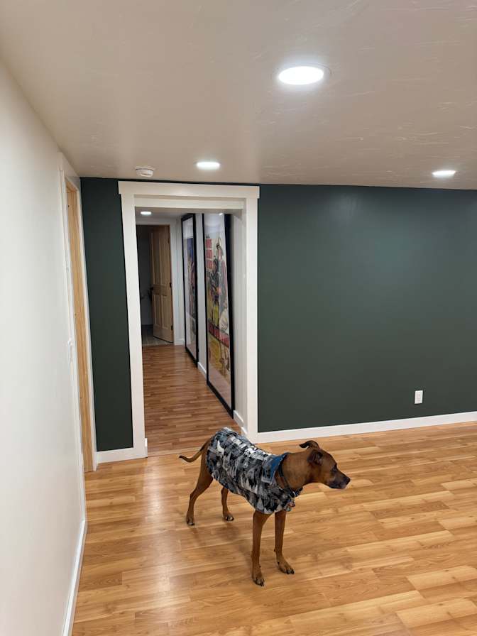 Sarah's room