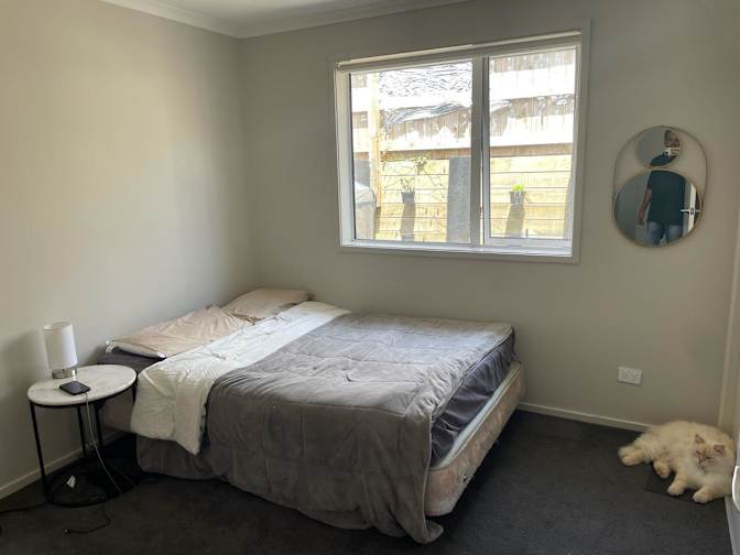 Shane's room