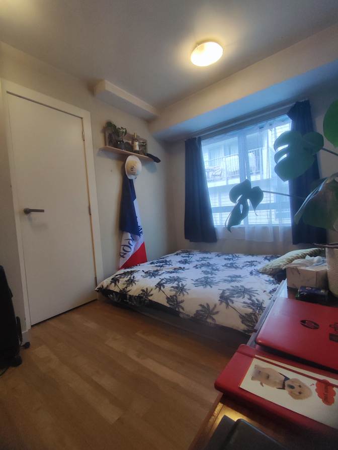 Mickael COYLA's room