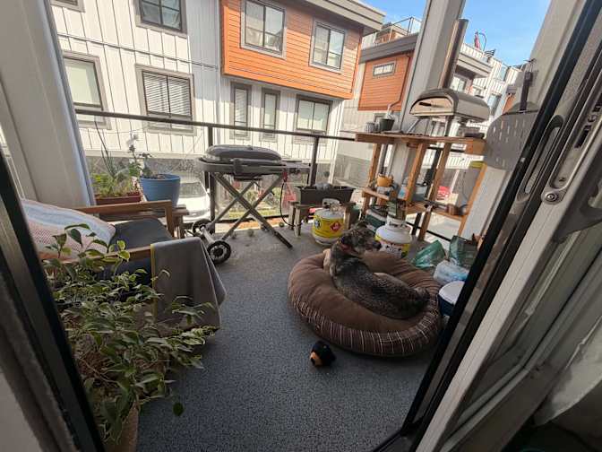 Mark's room