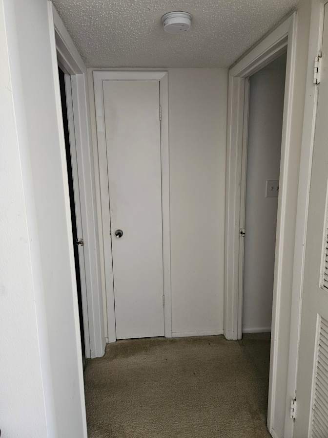 Brandon's room