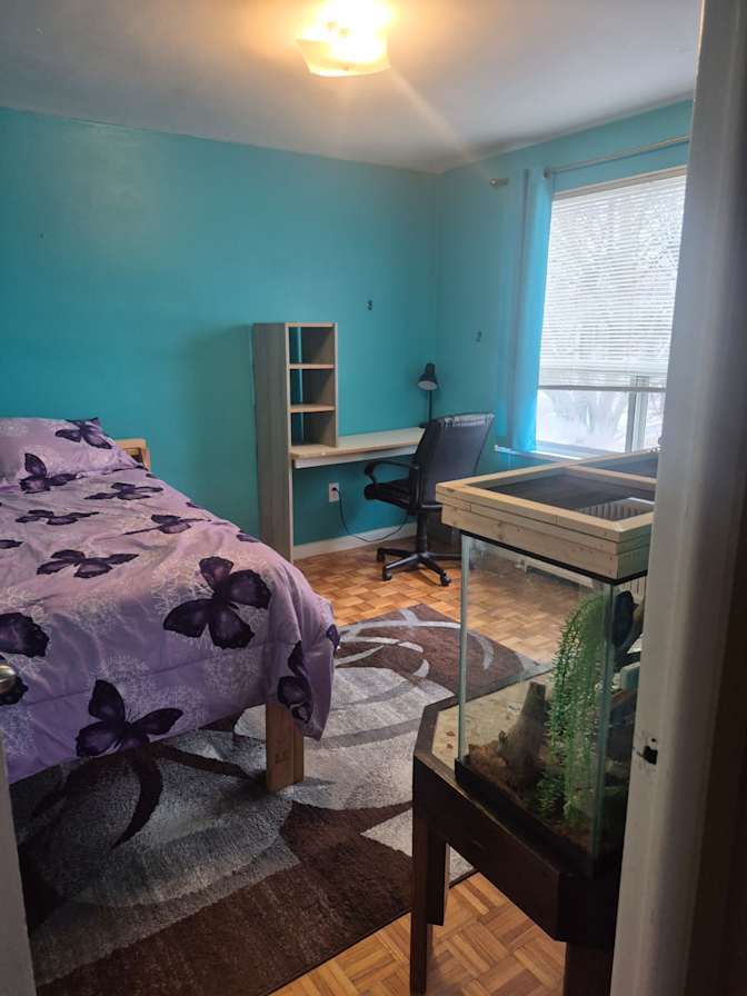 Steve's room