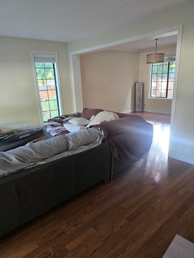 Daniel's room