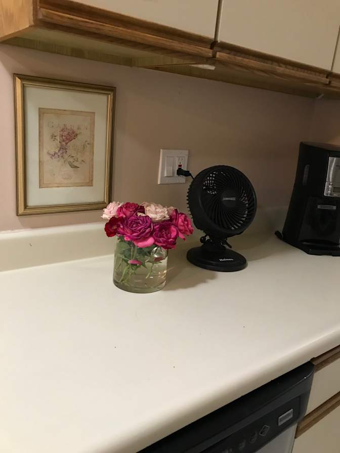 Paula's room