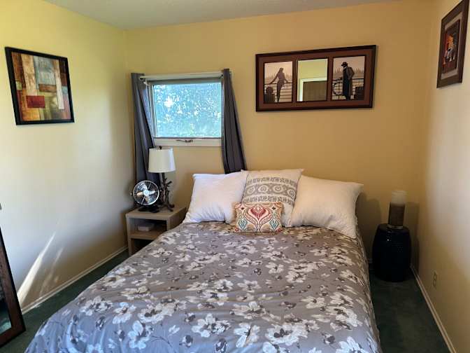 shawn's room