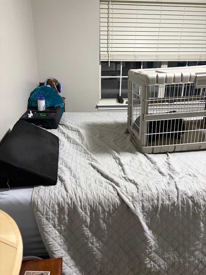 Cyrus Turnbull's room