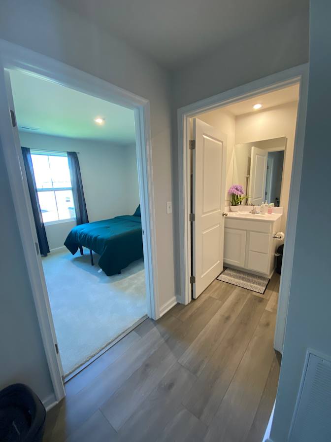 Taz's room