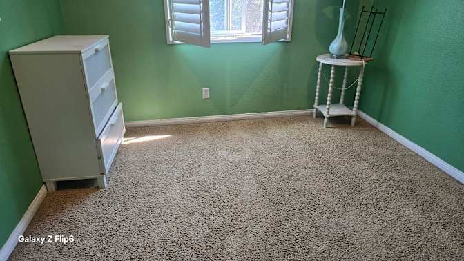 Tania's room