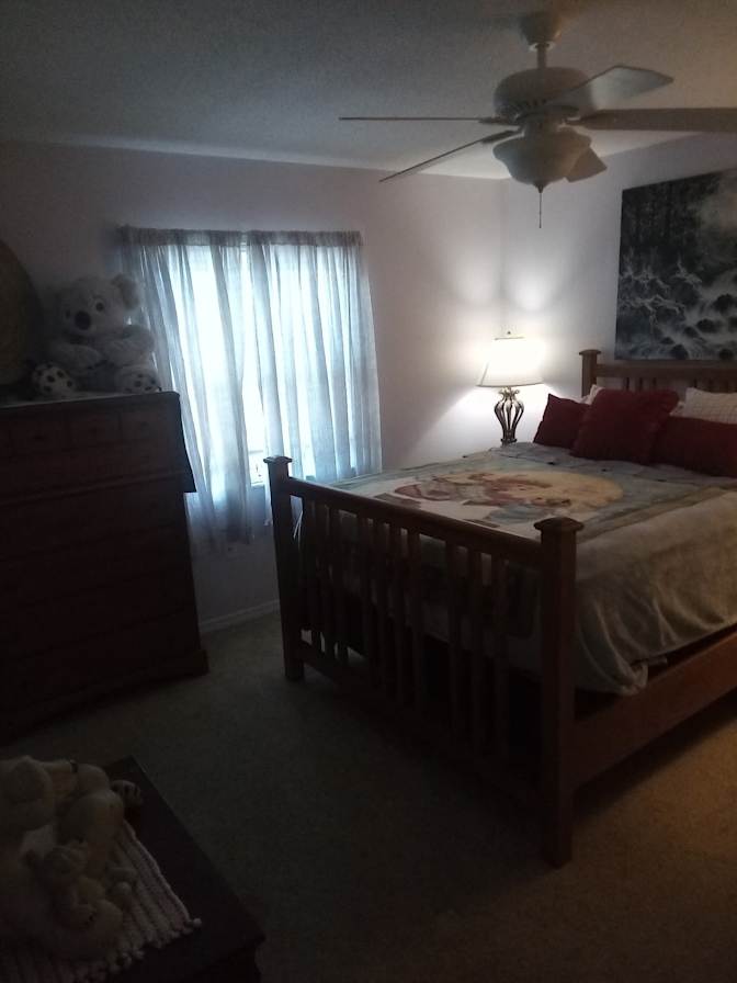 David Stout's room