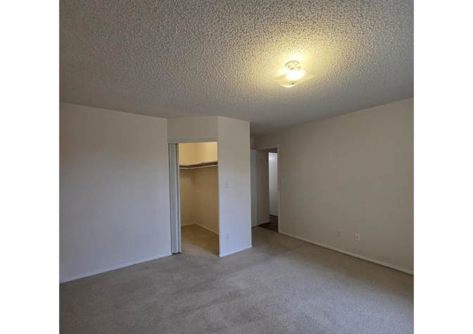 Todd's room