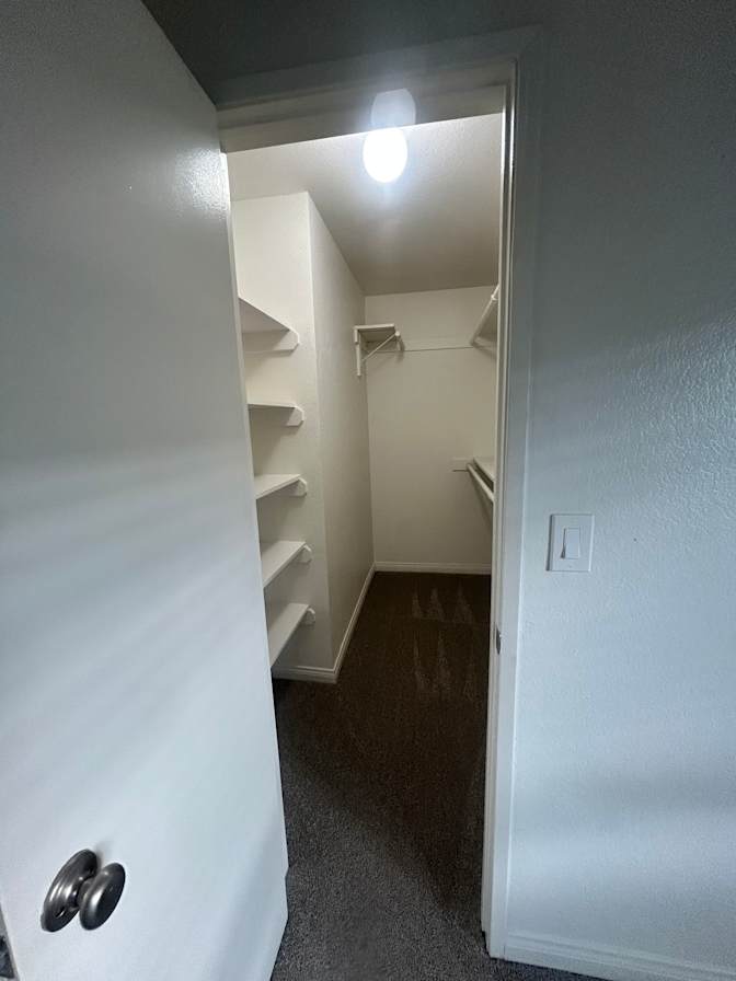 Vanessa's room