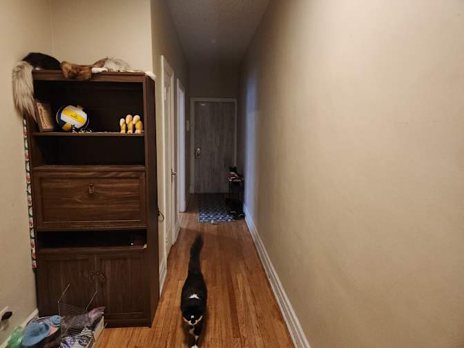 Alexander's room
