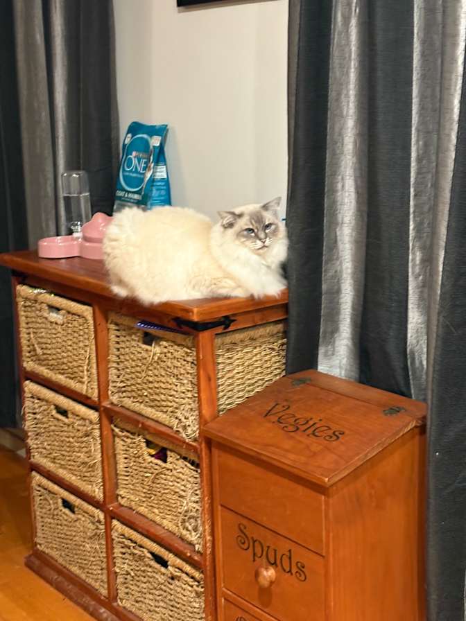 Tammy's room