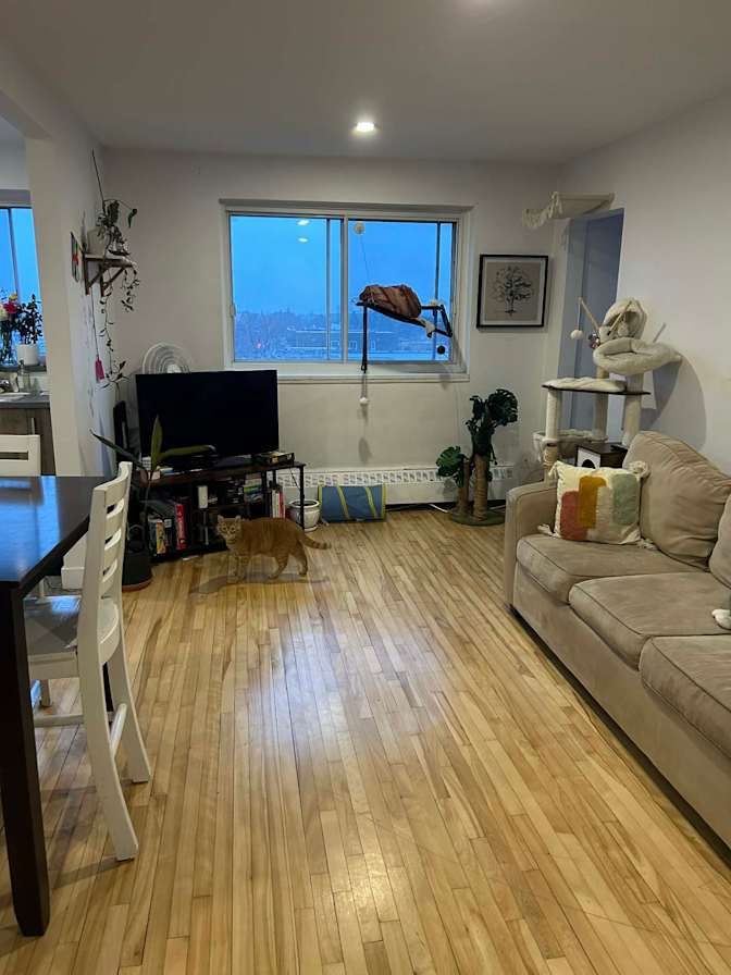 Melina Dallot's room