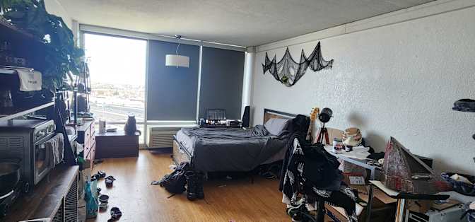 Fox's room