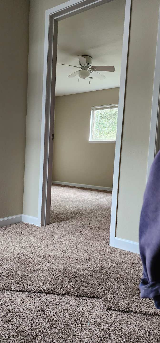 Angelica's room