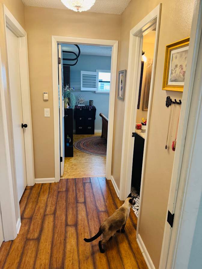 Rosemary's room