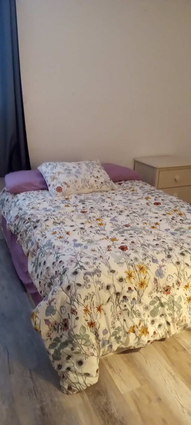 Amy's room