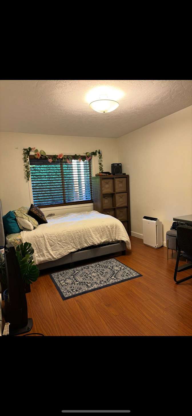 Anushah Hoque's room