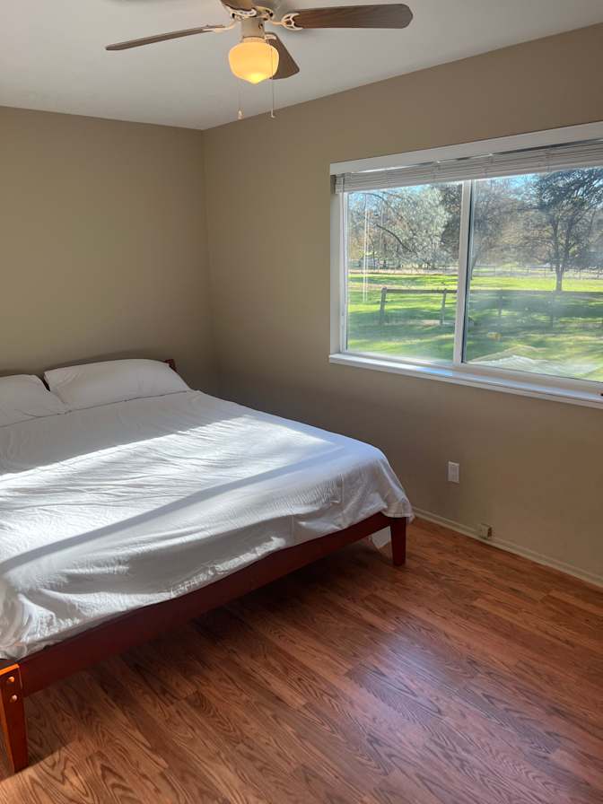 Drew's room
