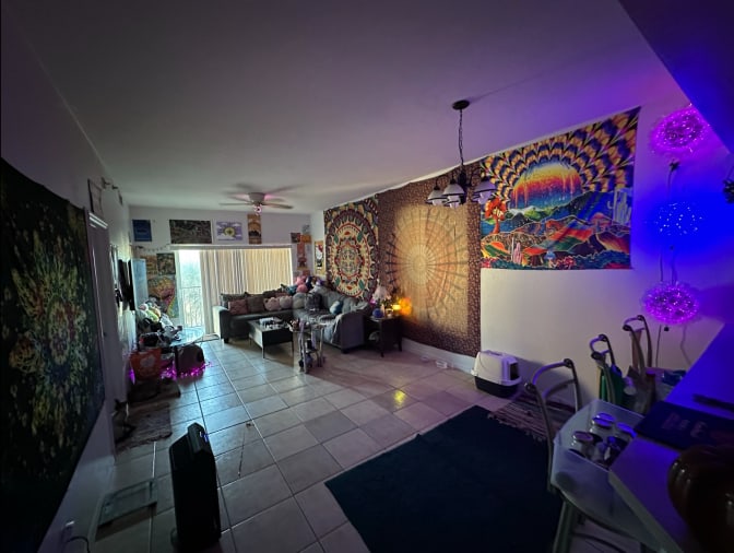 Mashal's room