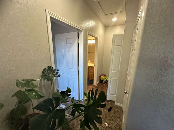 Kaya's room